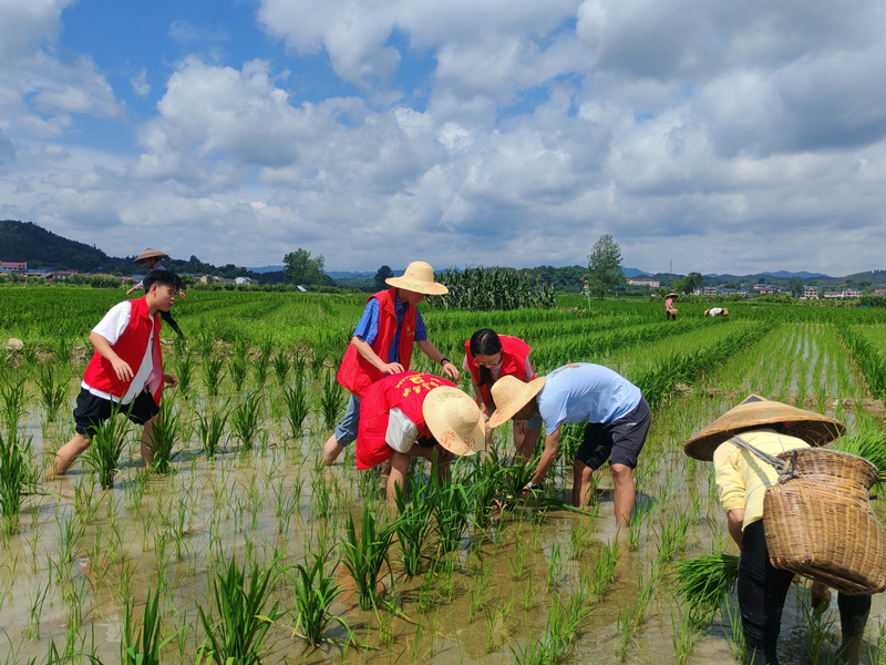 1767177224673023394.jpg 2.jpg